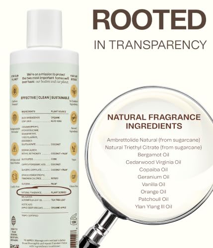 Natural Shampoo With Organic Ingredients (Daily Shampoo / 9.6 Fl Oz (Pack of 1))
