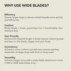 561465 ceramicEDGE Wide Blade (7FW (3.2mm))