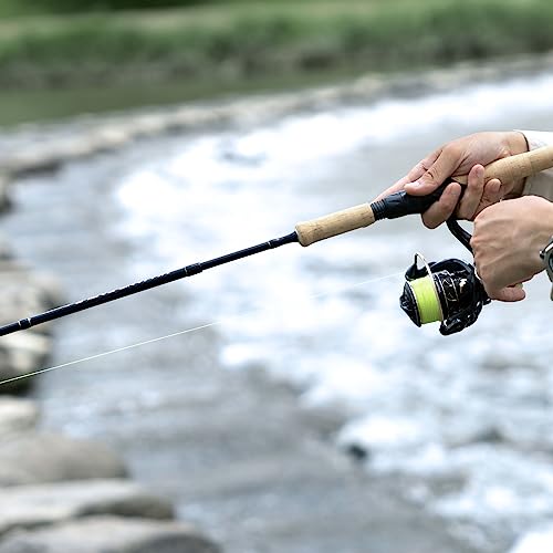 Valiant Eagle Passage Rod (A: Spin 8'6"/Fast/Mh Power(new))