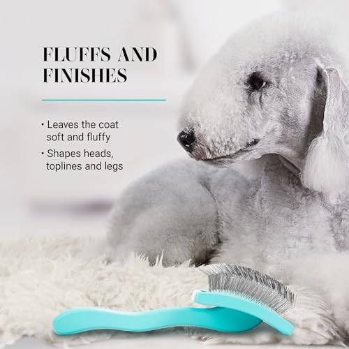 Big G Dog Slicker Brush for Dogs (Medium / Teal)