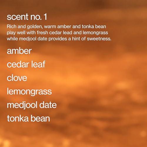 Burn Corner Office (4 Ounce (Pack of 1))