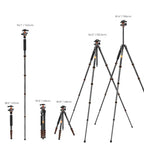 62" Carbon Fiber Camera Tripod (Black Orange)
