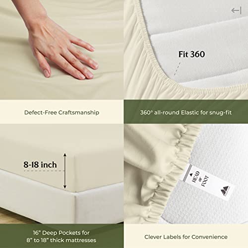 100% Egyptian Cotton Queen Size Sheets Set (Queen / 07 - Sand)