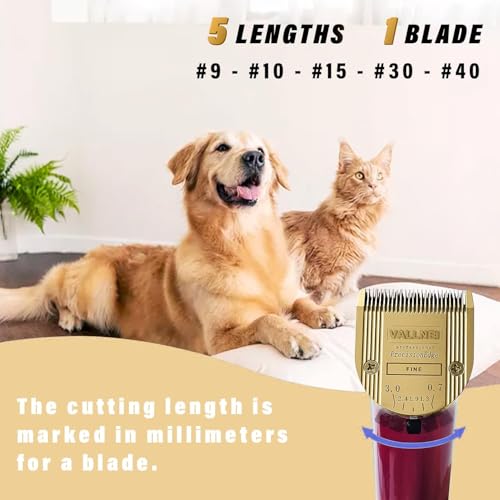 1-Pack 5-in-1 Replacement Blade Compatible with Wahl Animal Clipper, Gold (Gold / 1 Pack)