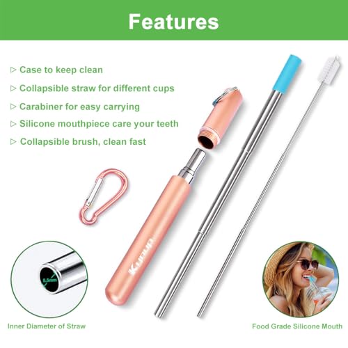 4Packs Reusable Straws (Blue-Rose Gold-Red-Turquoise)