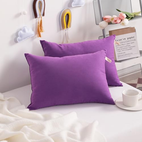 Toddler Pillows (Purple / 13"x18")