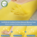 Memory Foam Pillow (Cyan / Standard (23.9 x 14.1 x 4.7/3.9 inches))
