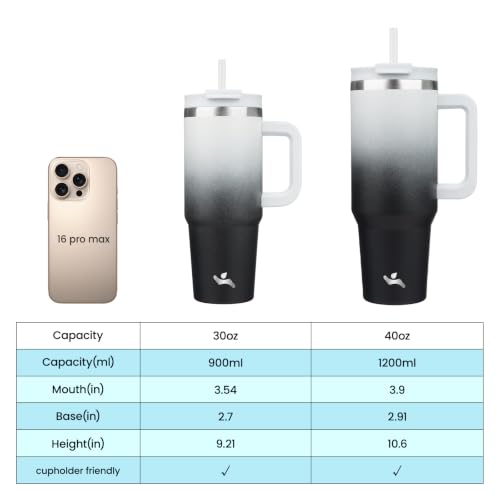40 oz Insulated Tumbler Water Bottle with Handle (40 Ounces / Day Night)