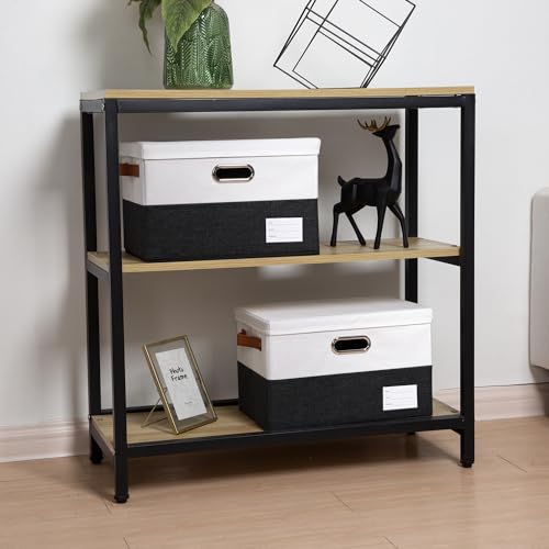 Foldable Storage Bins with Lids [3 (Black & White / M(3-Pack))