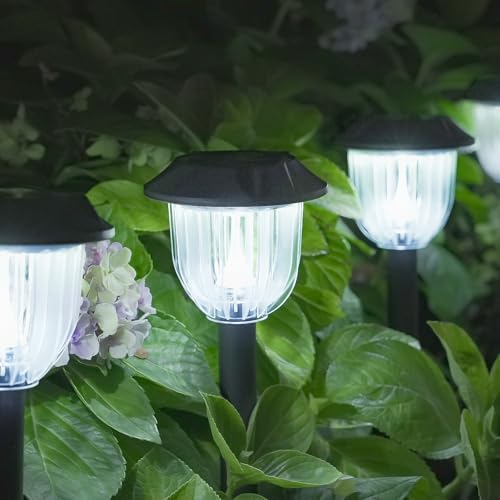 Solar Lights Outdoor (Cool White / 6 Pack)
