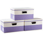 Collapsible Storage Bin with Lid [3 (Purple&Cream / M(3-Pack))