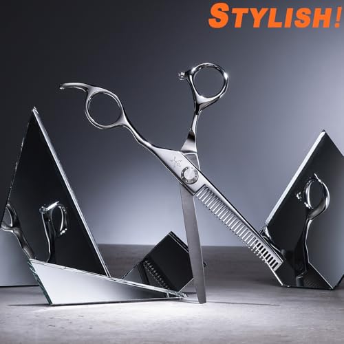 High end Professional Hair Scissors Thinning Shears Barber Hair Cutting Teeth Shears Hairdressing Texturizing Scissor 6 Inch Stainless Steel Alloy For Women Men Kids Salon Hairdresser & Home (Thinning Shears / 6 Inch)