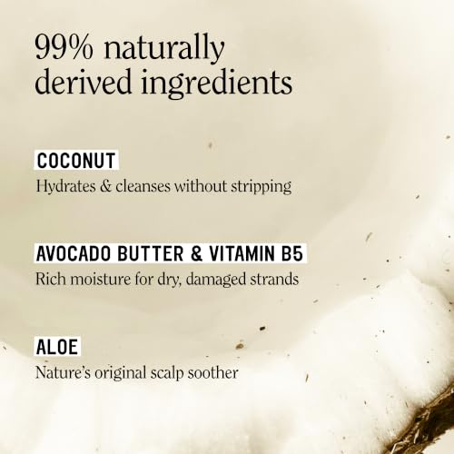 Classic Clean Toasted Coconut Shampoo Conditioner Set (20 Fl Oz (Pack of 2))