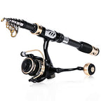Fishing Pole Kit (1.8M/5.91FT Rod with 2000 Reel / Only Rod and Reel)
