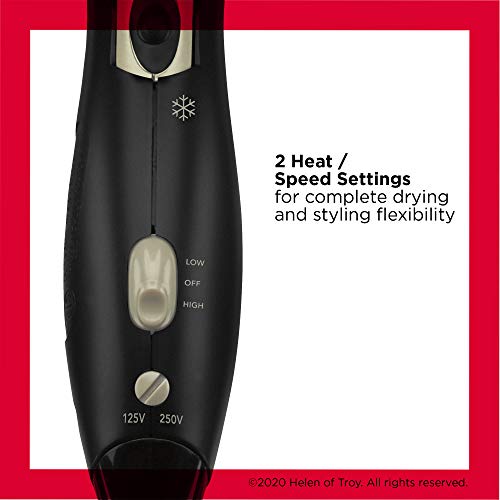 1875W Compact Folding Handle Hair Dryer (Gold/Black / 1 Count (Pack of 1))