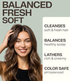 Natural Shampoo With Organic Ingredients (Daily Shampoo / 9.6 Fl Oz (Pack of 1))