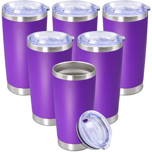20 oz Tumbler Insulated Tumblers Stainless Steel Coffee Mug (Purple)