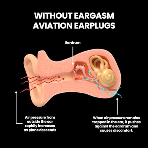 Aviation Earplugs (Standard)