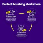 Original Sonic Electric Toothbrush for Adults (White)