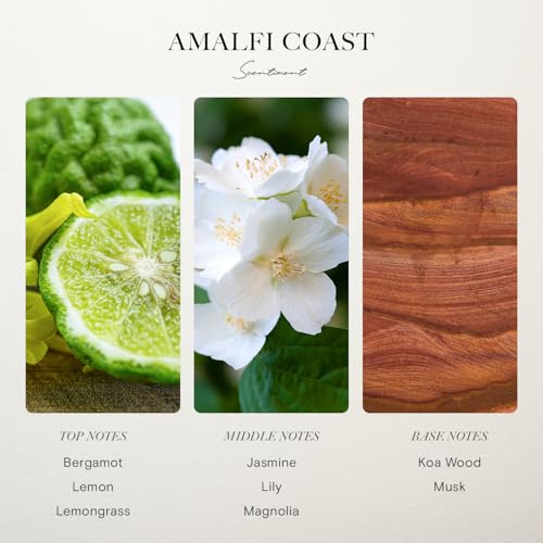 Amalfi Coast Diffuser Oil (1.69 Fl Oz (Pack of 1))