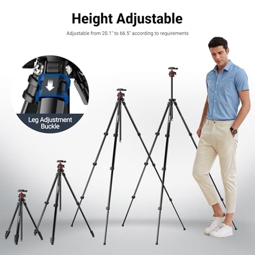 Basics 66.5" 169 cm Travel Tripod for Camera (Basics Travel Tripod)