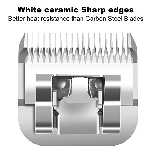 10#Dog Grooming Ceramic Blade sets (10# (3 Pack))