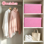 Storage Bins With Lids Closet Organizer Cabinet Box For Clothes (Pink - pink inside / 2 Pack)