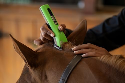 563231 ProClip 5 (Green)