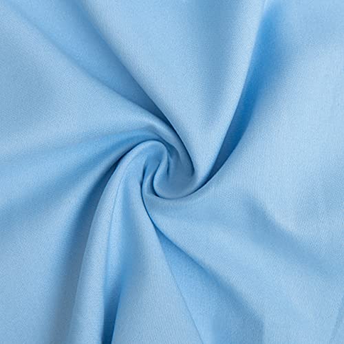 Toddler Pillows with Pillowcases Set (Sky Blue (Microfiber) / 13x18 Inch (Pack of 2))