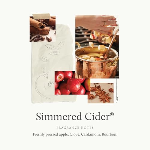Simmered Cider Reed Diffuser Oil Refill (7.75 Fl Oz (Pack of 1))