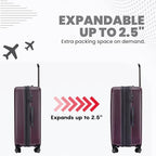 Rails 25 Inch Expandable Hardside Checked Suitcase with 360° Spinner Wheels (Burgundy / Medium Checked)