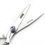 6/7/8/9 Inches Professional Hairdressing Scissors Set,Stainless Steel Hairdressing Scissors for Women & Men… (6 inch 4PC)