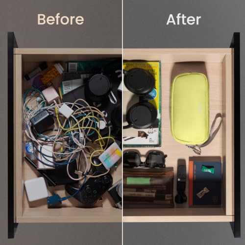 Electronics Organizer Travel Case (Citrus / Small)