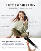 Mini Hair Dryer (Mirror Black)
