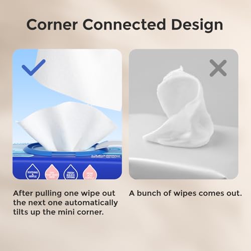 Butt Wipes Corner (48 Count (Pack of 6) + 10 Travel Pack)