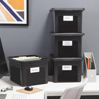 Plastic File Box with Snap Lid (Black)