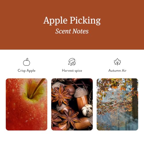 Home Scent Diffuser Starter Kit (Starter Kit)