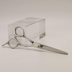 AOLANDUO Professional Shears for Hair Cutting, VG10 Steel Scissors to Cut Hair Professional, Precision Barber & Hair Stylist Shears, Ergonomic, 1 Count, 5.5 Inch