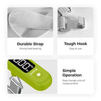 Digital Luggage Scale for Travel (Apple Green)