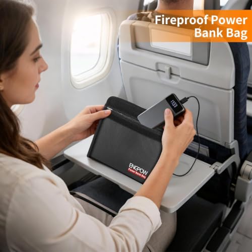 Fireproof Organizer Travel Safe Bag (10.6'' x 6.7'')