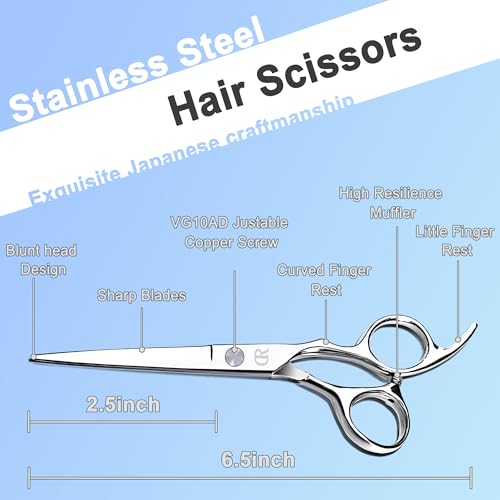 Professional Hair Cutting Shears (Silver)