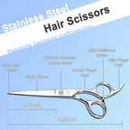 Professional Hair Cutting Shears (Silver)