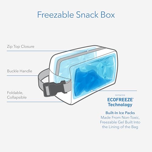 Freezable Snack Box (Tie Dye Sorbet / Medium)