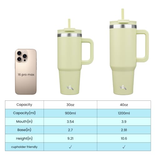30 oz Insulated Tumbler Water Bottle with Handle (30 Ounces / Macaron Green)