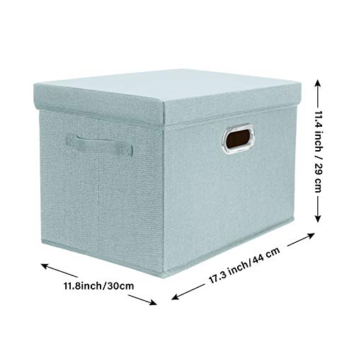 Collapsible Storage Bins With Lids (2-Pack Large / Auqa Spring)