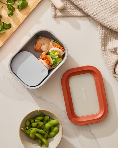 Mini Rectangle Food Storage Container (Mist / 2.6 Cup Container (1x))