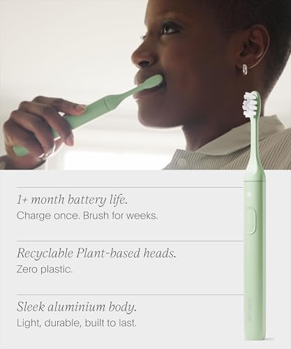 Pro Sonic Electric Toothbrush (Winter Fern)
