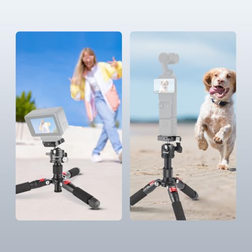 Portable Travel Mini Tabletop Tripod (TP-AAM521)