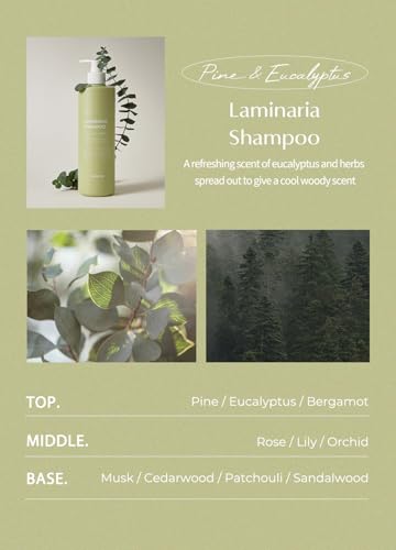 Laminaria Shampoo with Organic Ingredient (33.81 Fl Oz (Pack of 1))