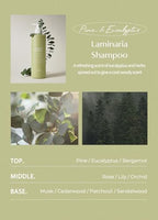 Laminaria Shampoo with Organic Ingredient (33.81 Fl Oz (Pack of 1))